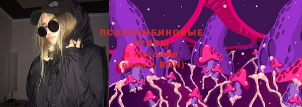 ALPHA-PVP Богородицк
