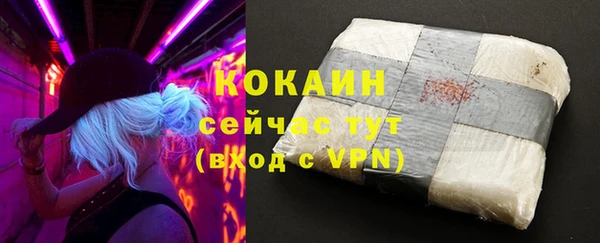 кокс Белокуриха