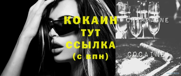 кокс Белокуриха