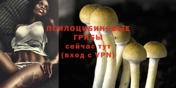 тгк Нязепетровск