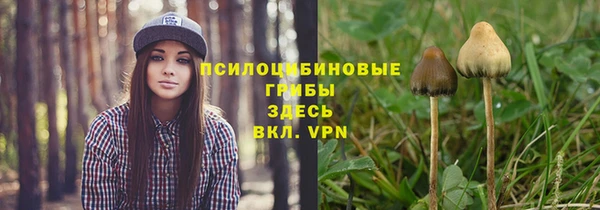 молекула духа Беломорск