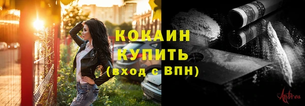 кокс Белокуриха