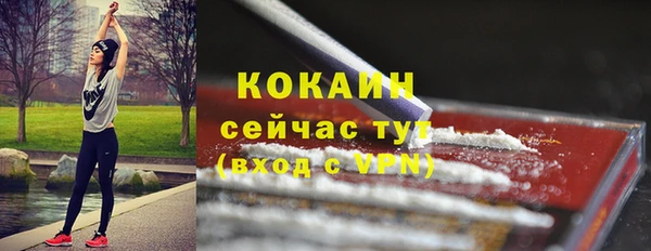 кокс Белокуриха