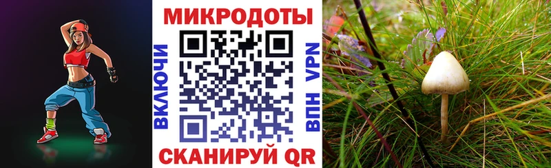Псилоцибиновые грибы Cubensis  Дагестанские Огни 